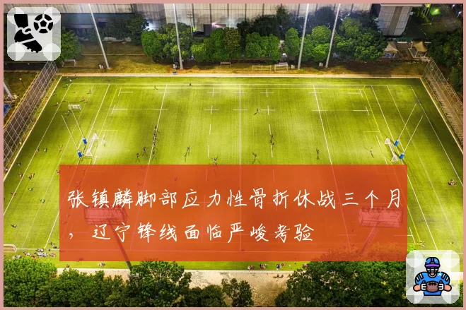 张镇麟脚部应力性骨折休战三个月,辽宁锋线面临严峻考验