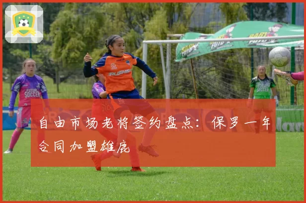 自由市场老将签约盘点：保罗一年合同加盟雄鹿