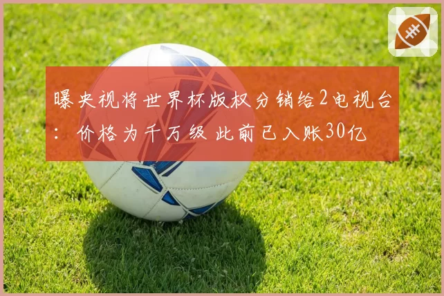 曝央视将世界杯版权分销给2电视台:价格为千万级 此前已入账30亿